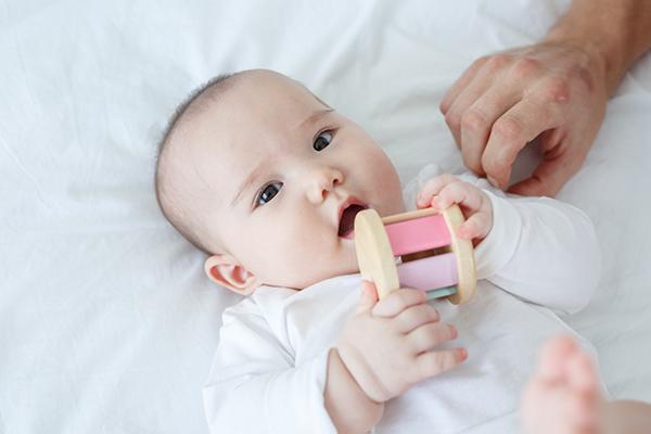 Plan Toys Primary Roller