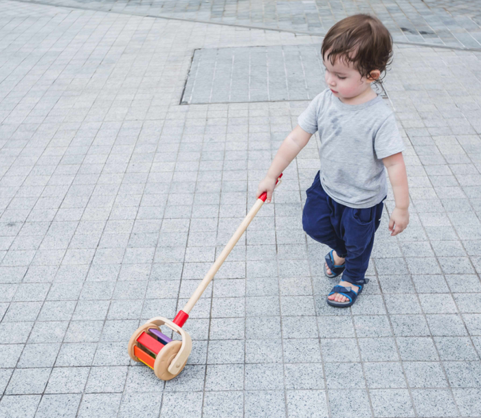 Plan Toys Walk N Roll Push Toy