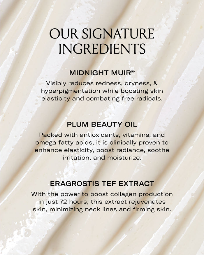 Le Prunier-Plumbody-Body-PDP-Plumbody-5-The Detox Market |
