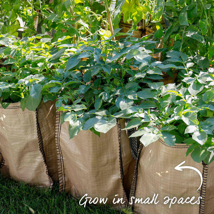 Potato Grow Sack