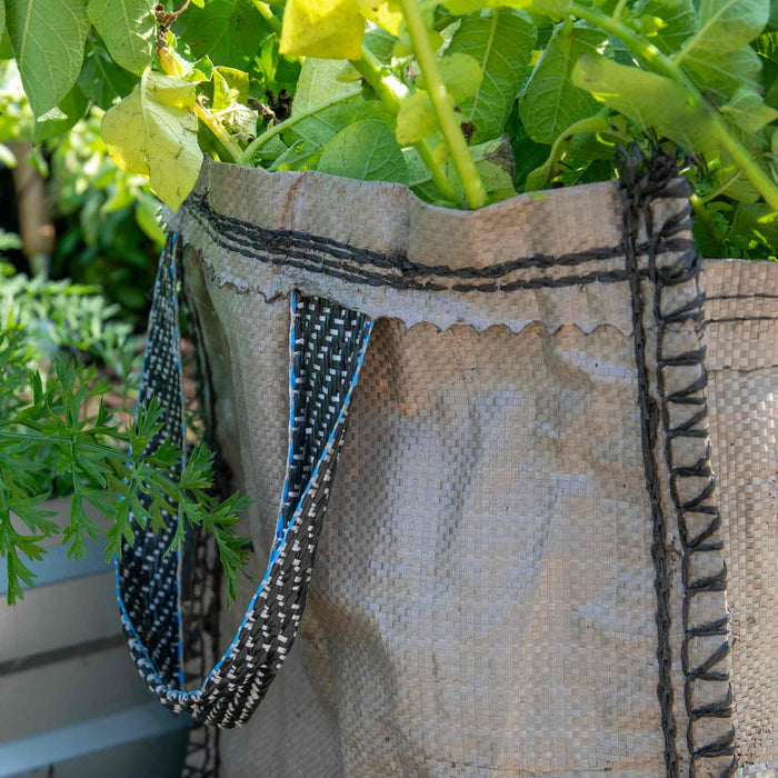 Potato Grow Sack