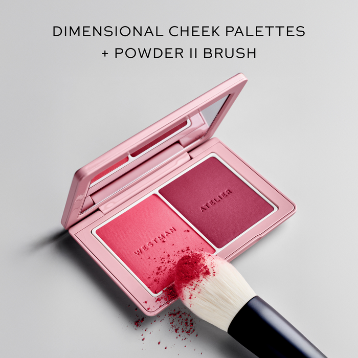 POWDER II BRUSH