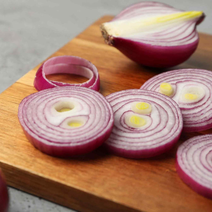 Pre-Rooted Onion 'Rosanna'