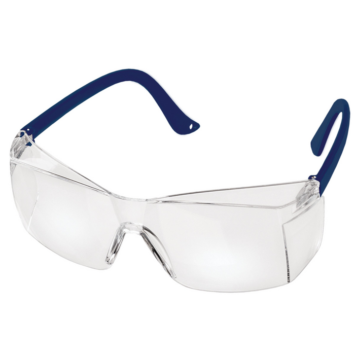 PRESTIGE MEDICAL Colored Temple Eyewear Goggles - Fine Scrubs