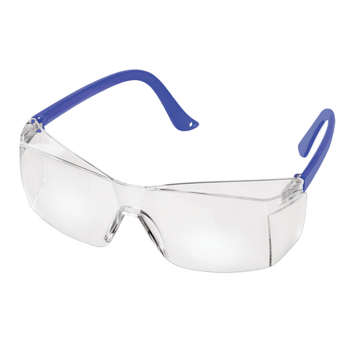 PRESTIGE MEDICAL Colored Temple Eyewear Goggles - Fine Scrubs