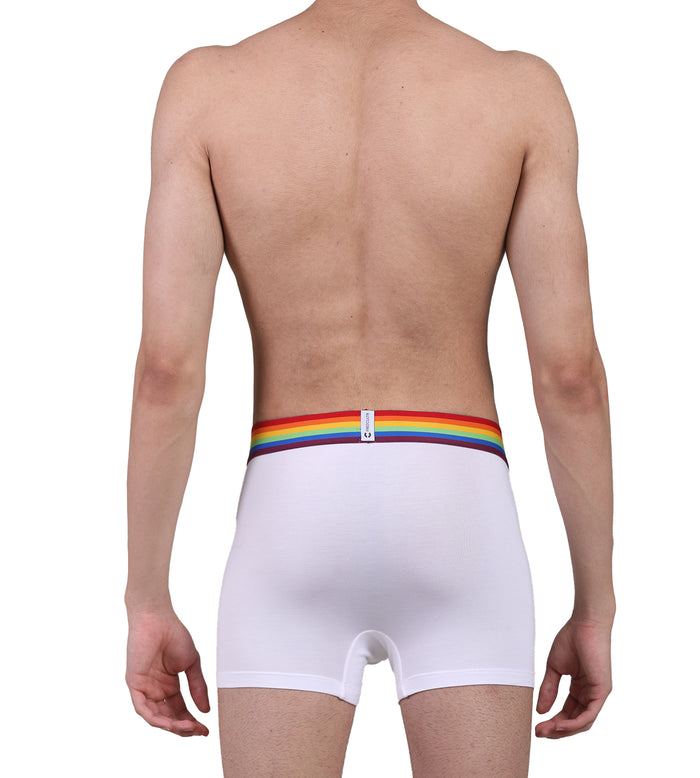 Pride Edition - Men's Anti-Bacterial Micro Modal Trunk (Pack of 1)