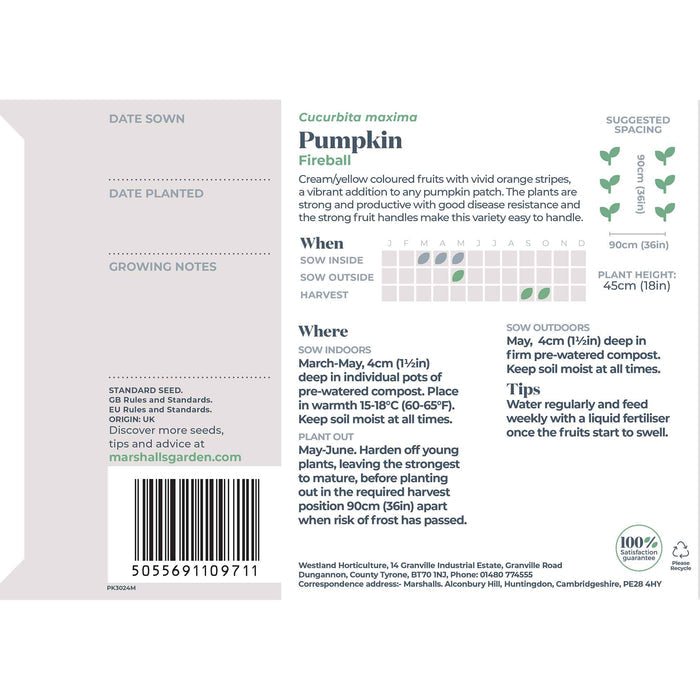 Pumpkin Seeds' Fireball'