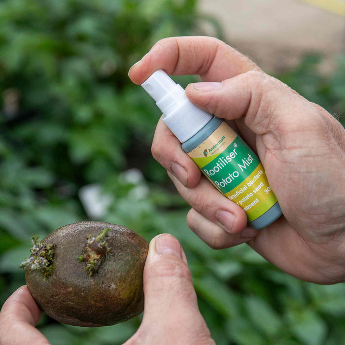Rootiliser Potato Mist