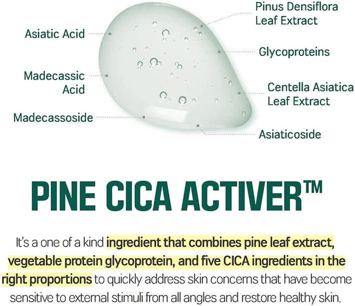 ROUND LAB Pine Cica Calming Body Wash 400 mL