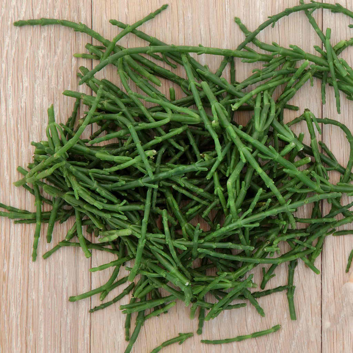 Samphire 'Salicornia Europaea'