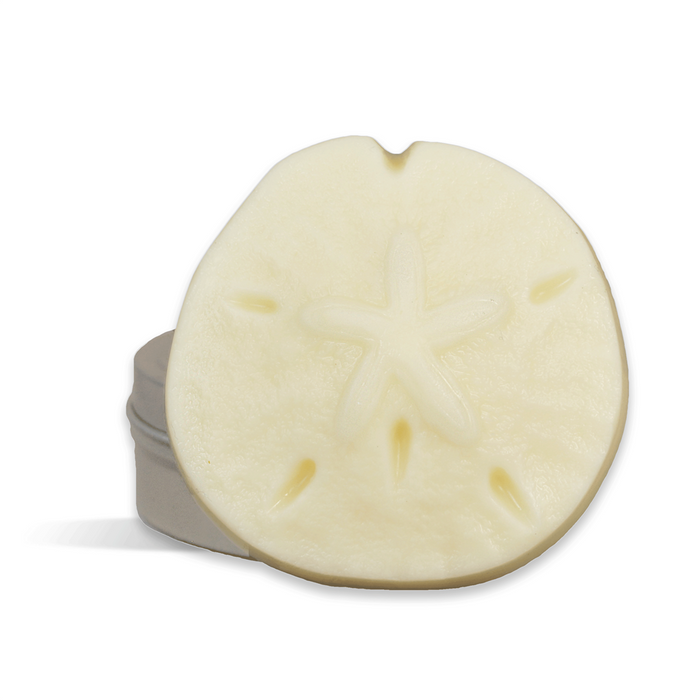 Sand Dollar Lotion Bar Kit