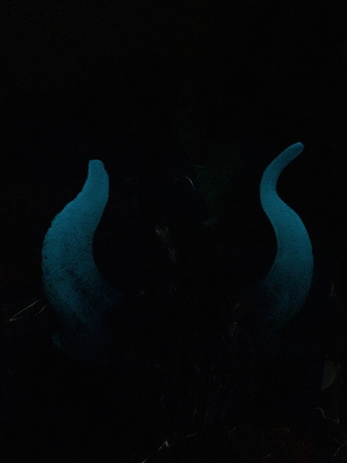 SEA WITCH HEADDRESS