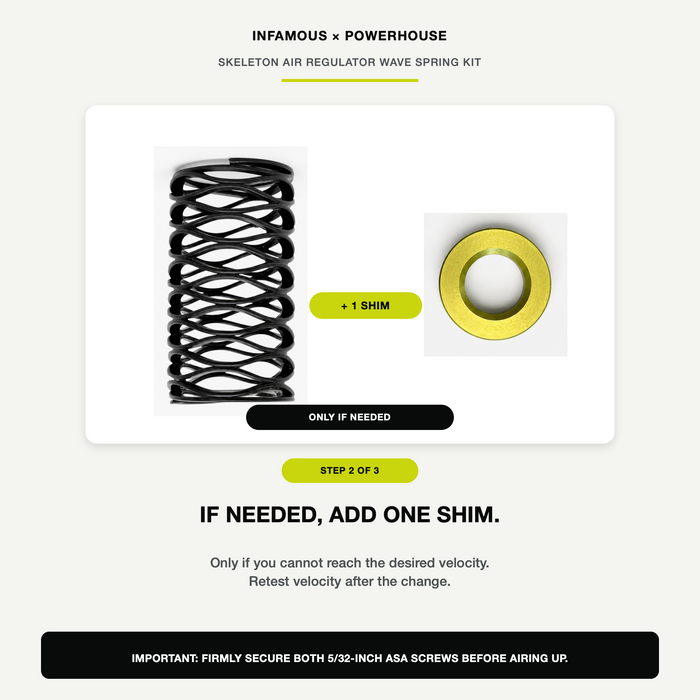 Skeleton Air Regulator Wave Spring Kit - EMEK / ETHA / CS1 / CS2 / GEO / GTEK