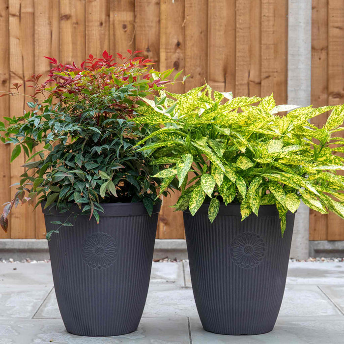 Somerville Tall Planter 33cm in Chocolate Slate