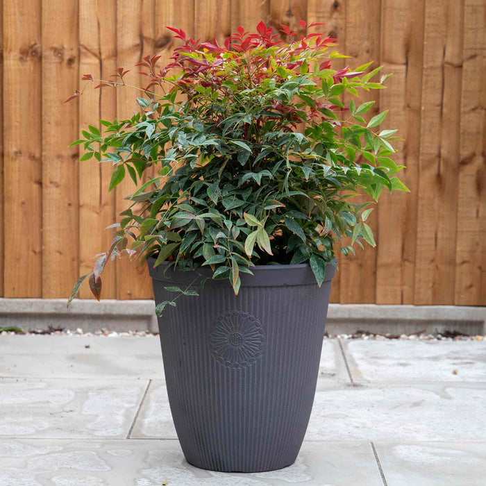 Somerville Tall Planter 33cm in Chocolate Slate