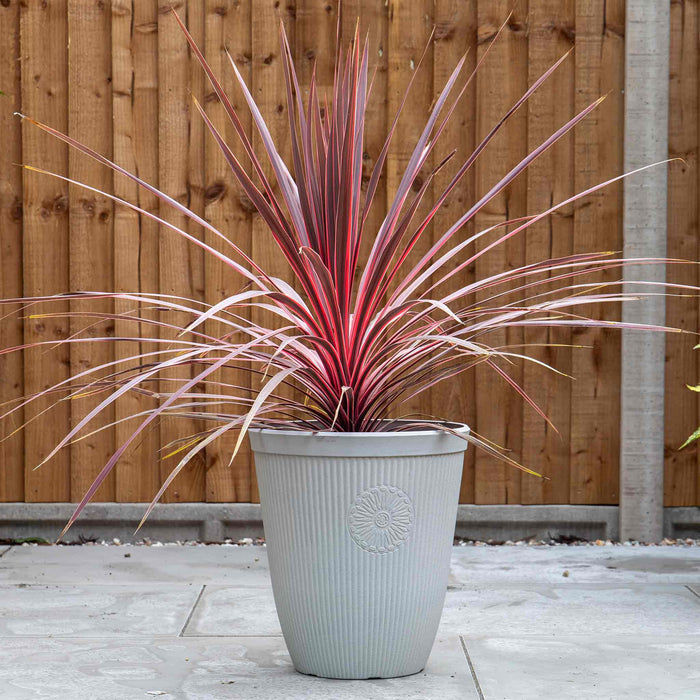 Somerville Tall Planters 33cm in Pebble White