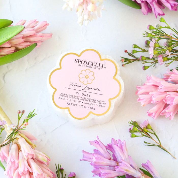 Spongelle Daisy Spongette Bath & Body in French Lavender at Wrapsody