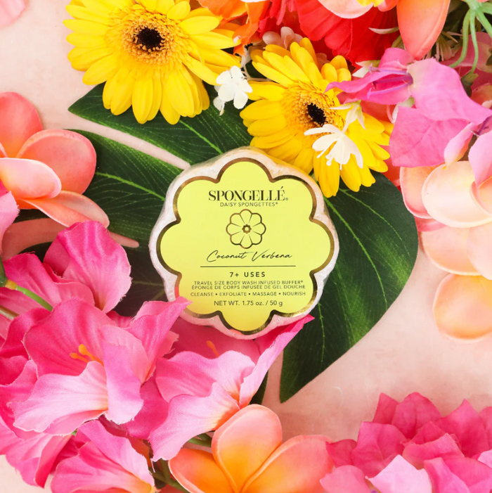 Spongelle Daisy Spongette Bath & Body in Coconut Verbena at Wrapsody