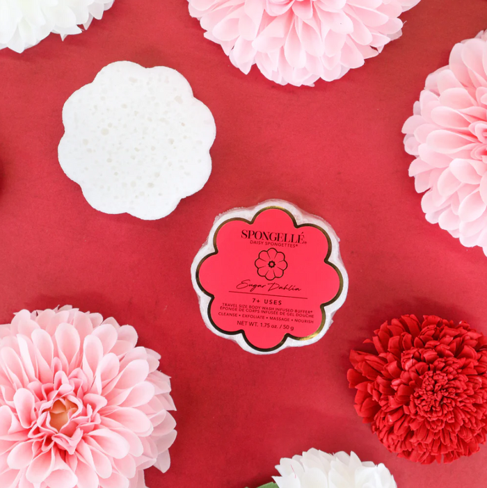 Spongelle Daisy Spongette Bath & Body in Sugar Dahlia at Wrapsody