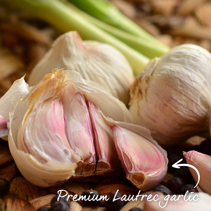 Spring Planting Pre-Rooted Garlic 'Kingsland Wight'