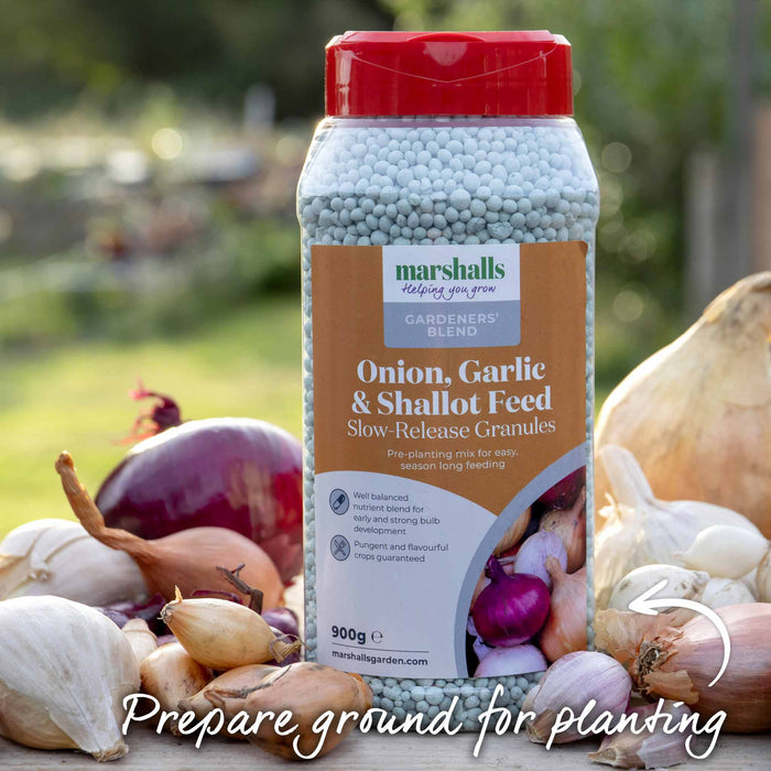 Tub of Marshalls Garden Onion, Garlic & Shallot Fertiliser Feed – promoting  strong roots and healthy bulb development.