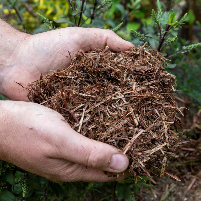 Strulch Organic Wheat Straw Mulch 100L