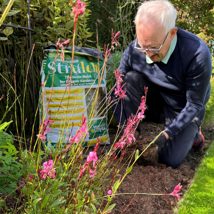 Strulch Organic Wheat Straw Mulch 100L