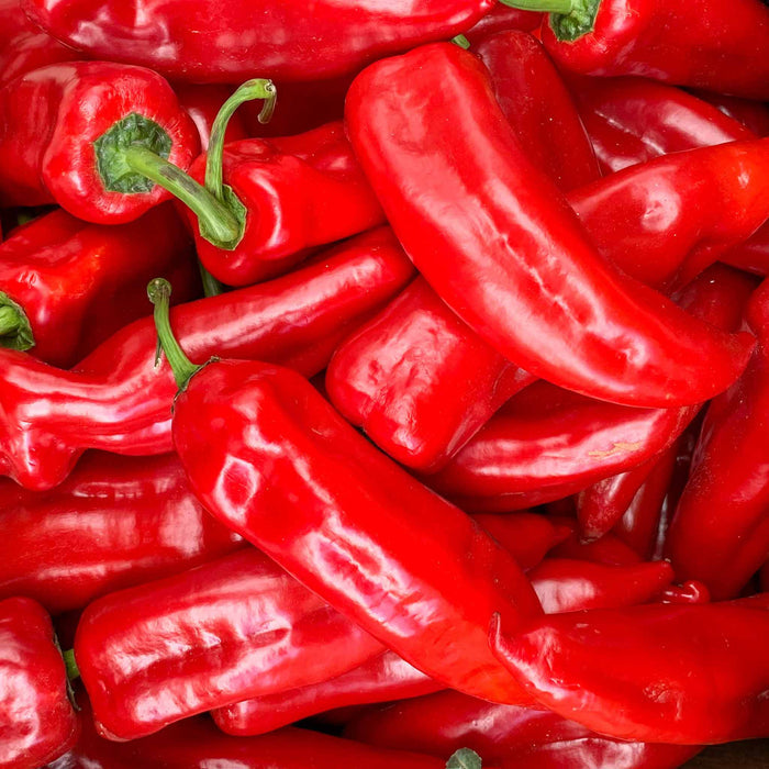 Sweet Pepper 'Corno Russo Bulls Horn'