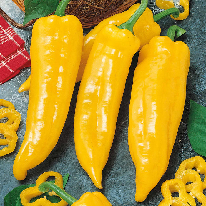 Sweet Pepper 'Corno Yellow Bulls Horn'