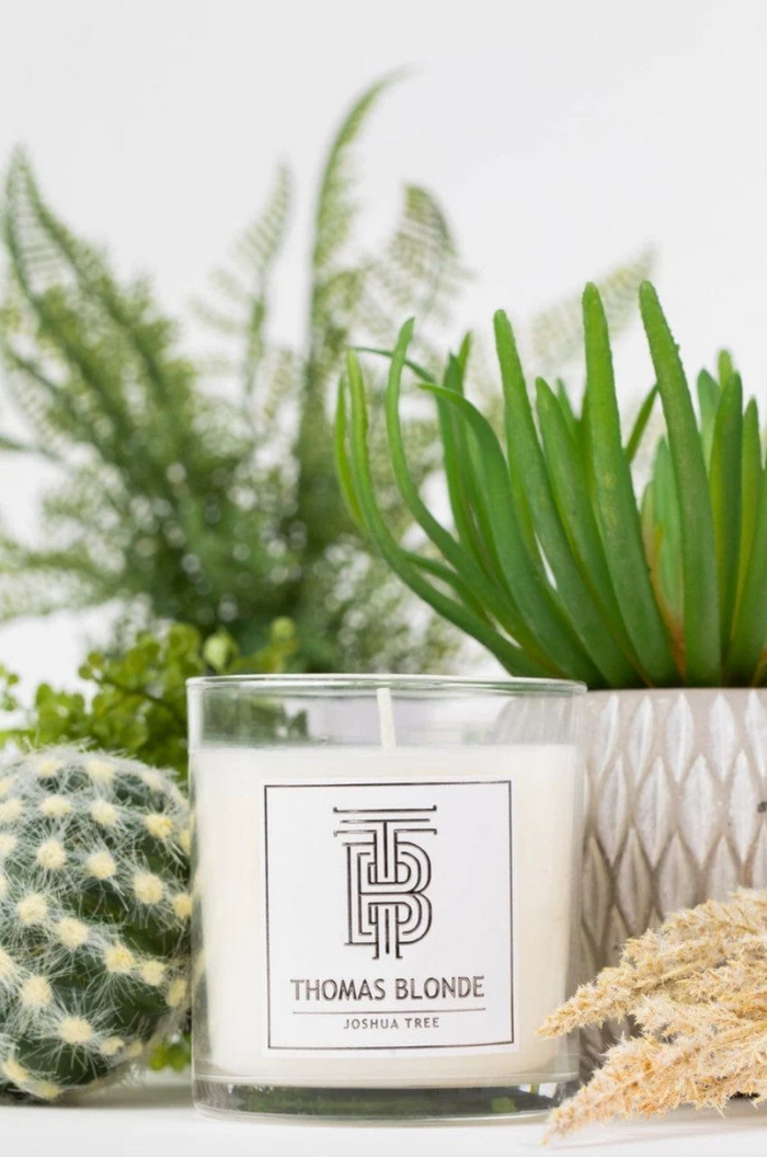 Thomas Blonde 12oz Candle Candles in Joshua Tree at Wrapsody