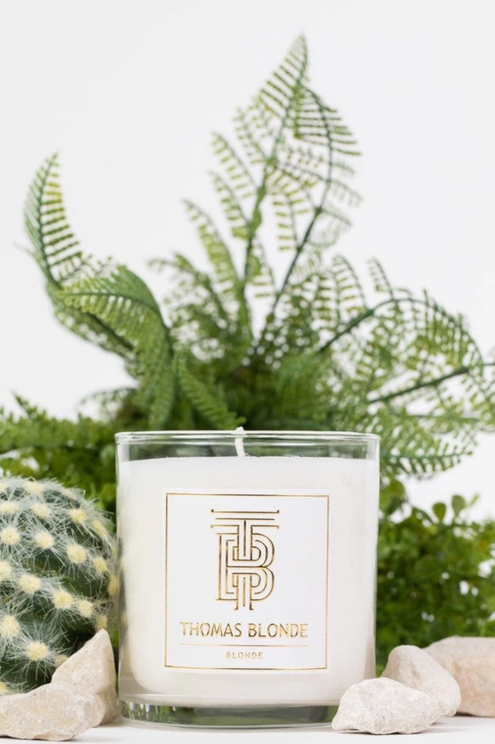 Thomas Blonde 12oz Candle Candles in Blonde at Wrapsody