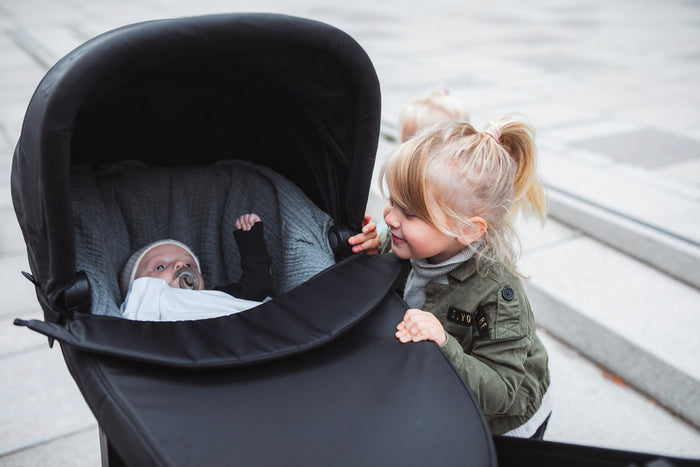 Thule Urban Glide Bassinet - Urban 3
