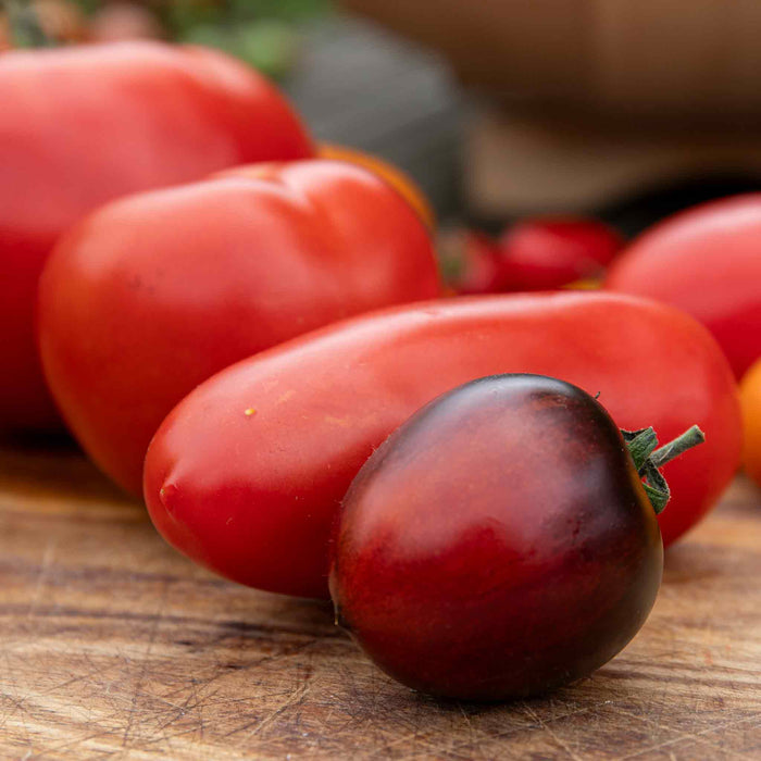 Tomato Seeds 'Black Moon'