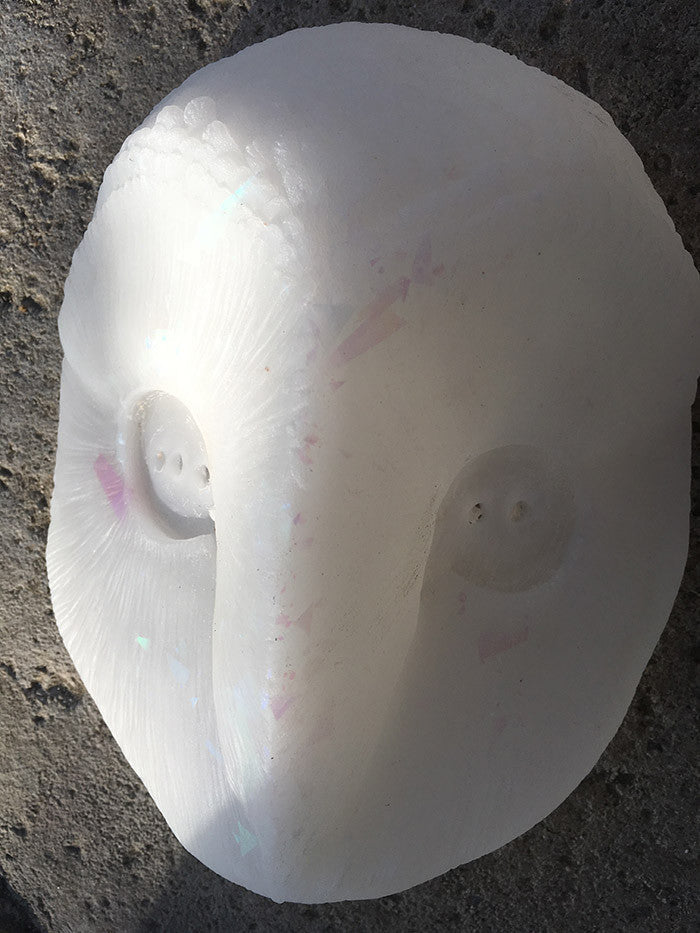 TRANSLUSCENT GLOW IN THE DARK DISCO SPARKLE OWL MASK BLANK
