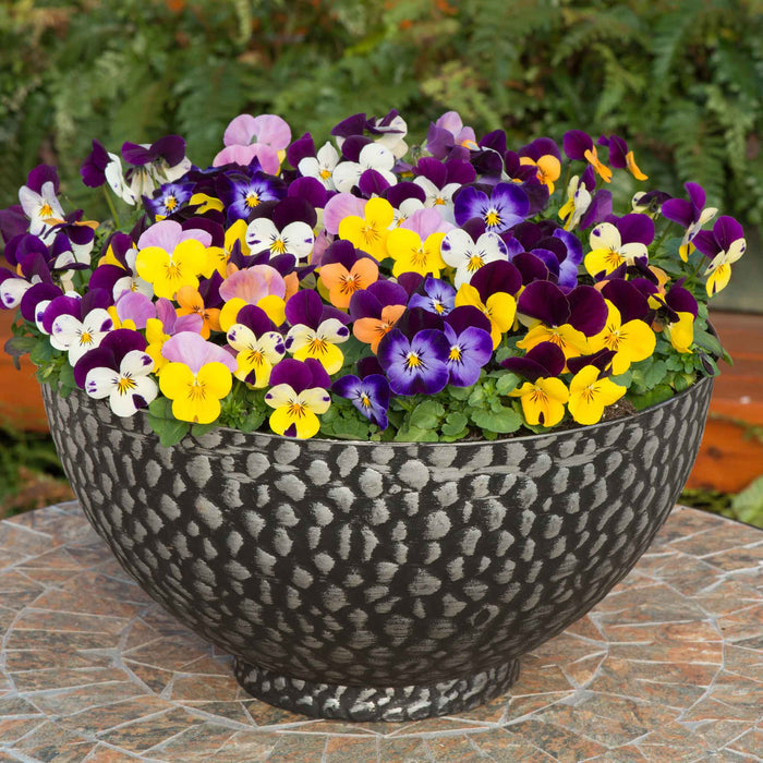 A large textured dark gray stone planter bowl filled with a dense cluster of colorful pansies in purple, yellow, white, and lavender, set on a stone patio with a blurred green garden background.