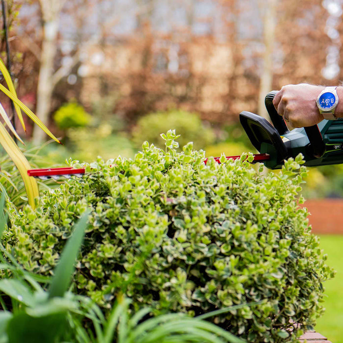 Webb Eco 20V 50cm Cordless Hedge Trimmer with 2AH Battery & Charger