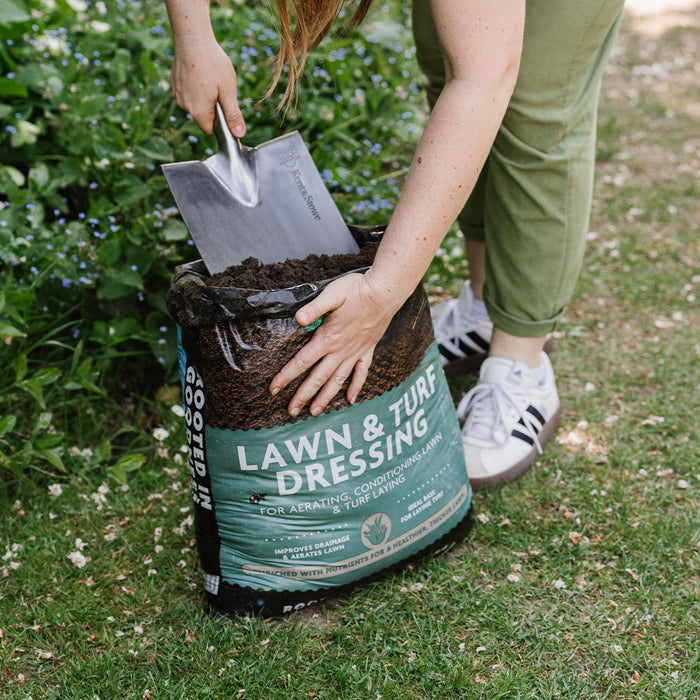 Westland Lawn and Turf Dressing
