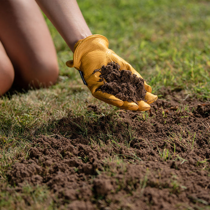 Westland Lawn and Turf Dressing