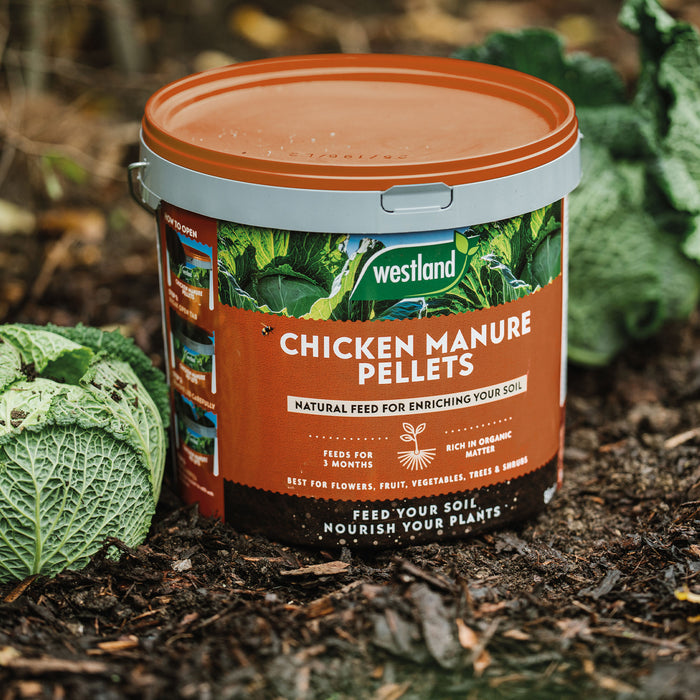 Westland Organic Chicken Manure Pellets