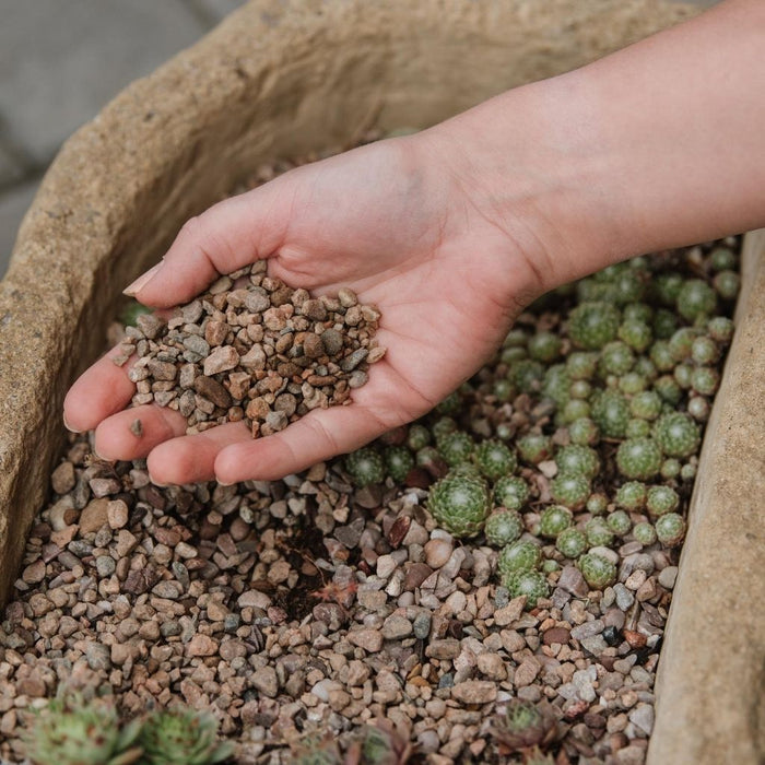 Westland Potting Grit